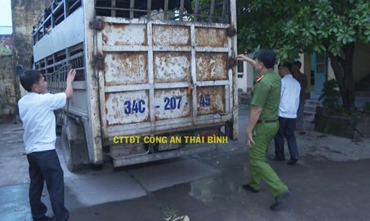 Xe tải chở hơn 1.4 tấn lợn nhiễm dịch tả châu Phi vận chuyển từ Hà Nam qua Hải Phòng tiêu thụ. Ảnh Công an tỉnh Thái Bình