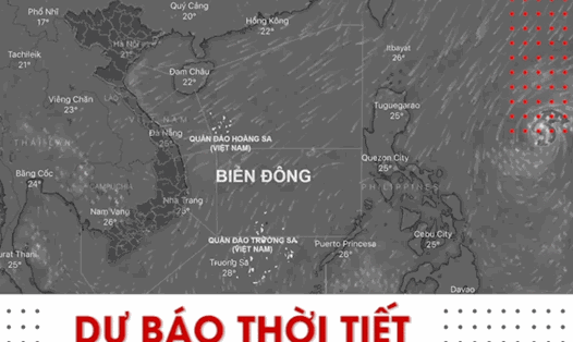 Dự báo thời tiết cuối tuần: Các tỉnh/thành phố Thừa Thiên Huế, Đà Nẵng, Quảng Nam có mưa rất to với lượng mưa từ 150-300mm, có nơi trên 400mm. Các tỉnh Quảng Trị, Quảng Ngãi có mưa to, có nơi mưa rất to với tổng lượng mưa phổ biến 100-200mm.