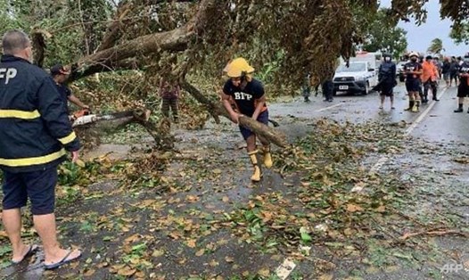 Lực lượng cứu hỏa đang dọn một cây bật gốc chắn ngang đường sau bão Molave đổ bộ vào thị trấn Pola, tỉnh Oriental Mindoro, Philippines. Ảnh: AFP.
