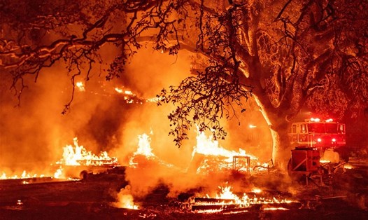 Đám cháy rừng mang tên Glass tàn phá khu vực Calistoga, California hôm 1.10. Ảnh: AFP