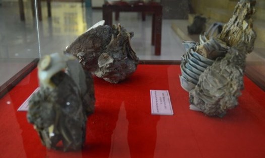 Triển lãm sưu tập “Đồ gốm sứ theo những con tàu khai quật ở biển Việt Nam” được tổ chức tại Bảo tàng Đà Nẵng. Ảnh: M.H