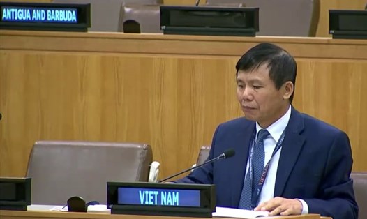 Đại sứ Đặng Đình Quý phát biểu tại Đại hội đồng Liên Hợp Quốc. Ảnh: BNG