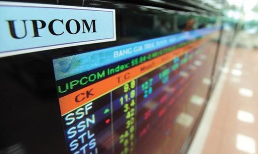 Chậm công bố thông tin cổ phiếu RCC và PII bị tạm ngưng giao dịch trên UPCOM. Ảnh: Quang Duy