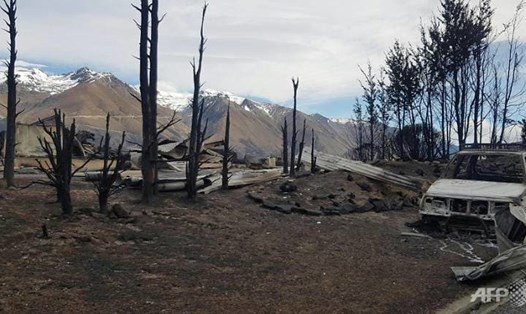 Các đám cháy rừng ở đảo Nam, New Zealand đã thiêu rụi 55 km vuông và 50 ngôi nhà. Ảnh: AFP