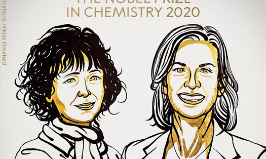 Nhà khoa học Pháp Emmanuelle Charpentier và Jennifer Doudna của Mỹ nhận giải Nobel Hóa học 2020. Ảnh: Nobel Prize.