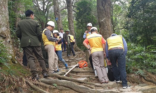 Các chuyên gia bàn giải pháp cứu chữa rừng Xích Tùng cổ Yên Tử. Ảnh: Nguyễn Hùng