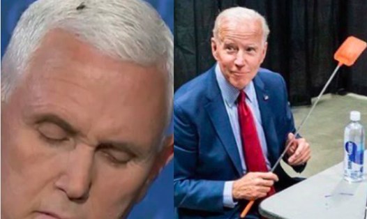 Con ruồi đậu trên tóc ông Mike Pence trong cuộc tranh luận (trái) và bức ảnh ứng cử viên Tổng thống Joe Biden cầm chiếc vợt đập ruồi. Ảnh cắt từ video và Twitter Joe Biden
