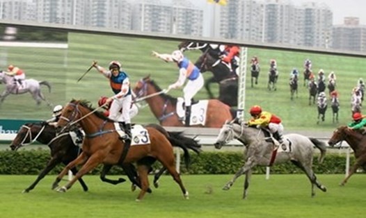 Ảnh minh họa (TL).