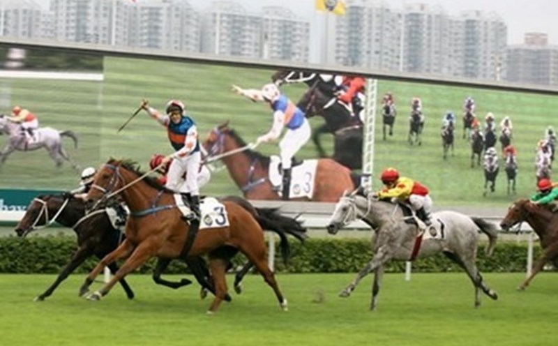 Ảnh minh họa (TL).