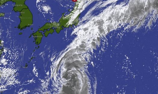 Bão Chan-hom dự kiến đổ bộ vào Nhật Bản vào ngày 10-11.10. Ảnh: Windy.com