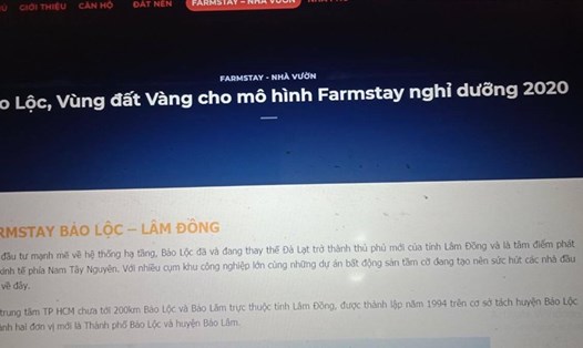 Nhiều trang mạng quảng cáo rầm rộ về mô hình Farmstay ở Lâm Đồng. Ảnh: Nhiệt Băng chụp lại