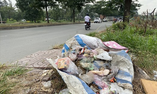 Nhiều bãi rác như thế này tồn tại trên đường Nguyễn Văn Linh. Ảnh: Thanh Vũ