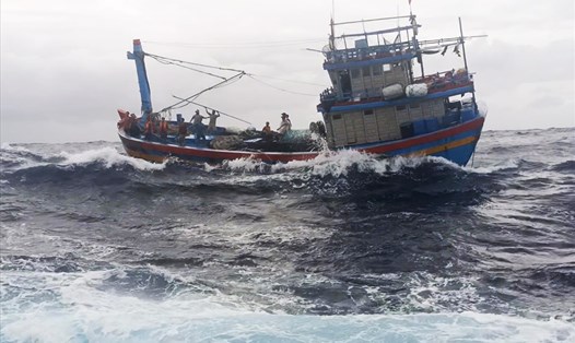 Cứu nạn thành công tàu cá Bình Định và 13 ngư dân bị nạn về đảo Trường Sa. Ảnh: CTV