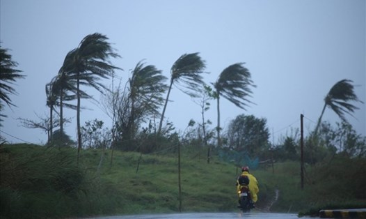 Gió mạnh ở thành phố Legazpi City, tỉnh Albay, Philippines, hôm 11.11 khi bão Vamco chuẩn bị đổ bộ. Ảnh: AFP