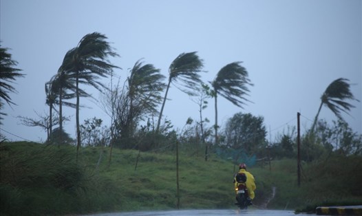Gió mạnh ở thành phố Legazpi City, tỉnh Albay hôm 11.11 khi bão Vamco chuẩn bị đổ bộ. Ảnh: AFP