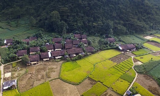 Toàn cảnh làng Phia Thắp nhìn từ trên cao.