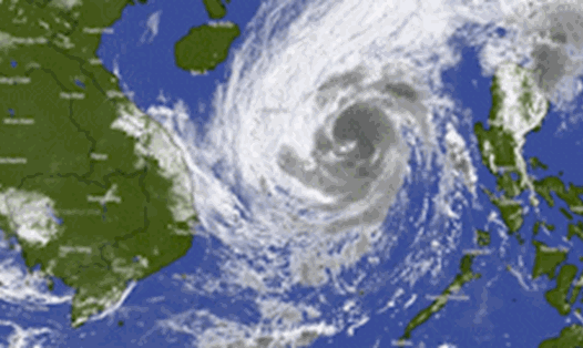 Ngoài La Nina "thủ phạm" nào khiến 8 cơn bão dồn dập tấn công trong 2 tháng.