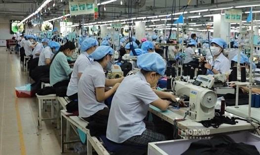 Dịp cuối năm, các doanh nghiệp dệt may ở miền Trung tổ chức nhiều đợt tuyển dụng lao động phục vụ các đơn hàng lớn. Ảnh: Hữu Long