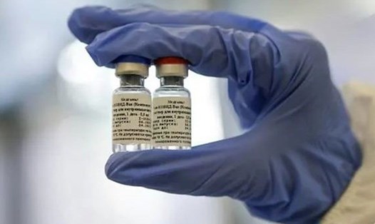 Vaccine COVID-19 Sputnik V của Nga sẽ có giá thấp hơn nhiều so với của Pfizer và Moderna. Ảnh: AFP