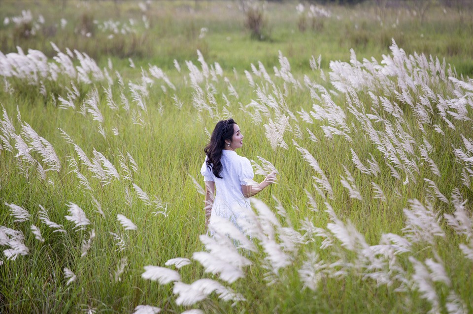 Hoa lau nở trắng một vùng trời Đà Nẵng. Ảnh: Lê Tuấn