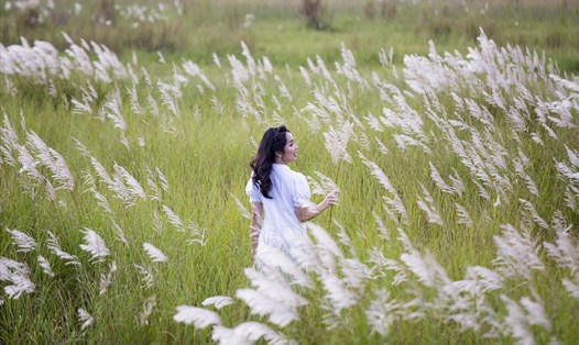 Hoa lau nở trắng một vùng trời Đà Nẵng. Ảnh: Lê Tuấn