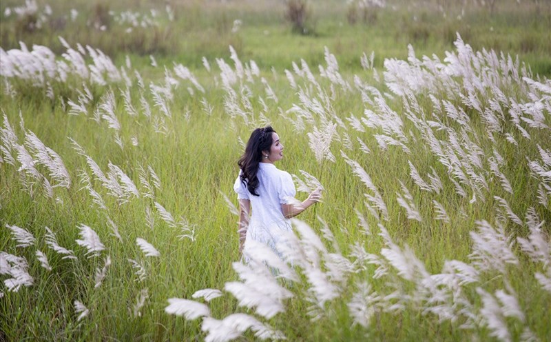 Hoa lau nở trắng một vùng trời Đà Nẵng. Ảnh: Lê Tuấn