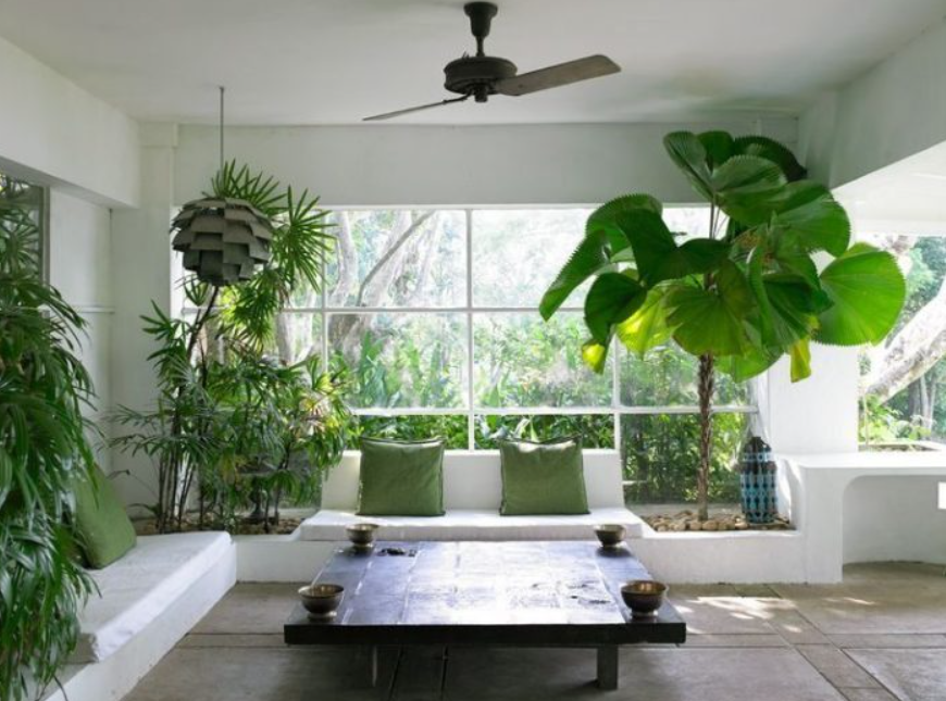 Đảm bảo ngôi nhà phải nhiều ánh nắng mặt trời giúp cây xanh quang hợp. Ảnh nguồn: AFP.