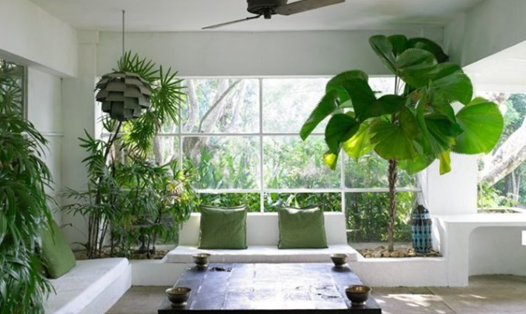 Đảm bảo ngôi nhà phải nhiều ánh nắng mặt trời giúp cây xanh quang hợp. Ảnh nguồn: AFP.