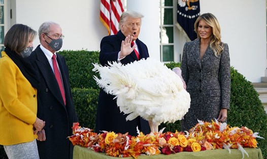 Tổng thống Donald Trump và Đệ nhất phu nhân ân xá gà Tây nhân Lễ Tạ ơn. Ảnh: AFP