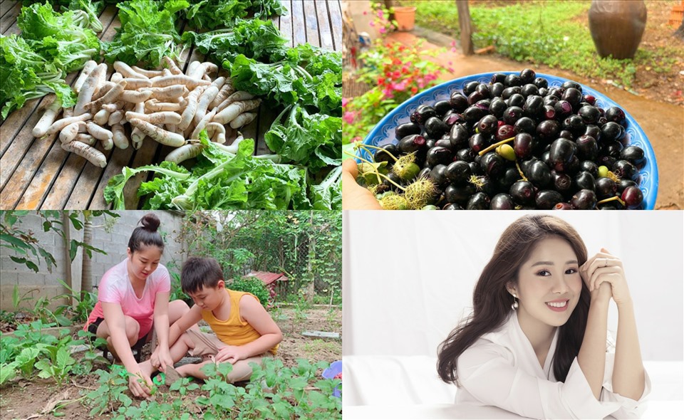 Khám phá trang trại rộng lớn nhiều rau củ của Lê Phương "Gạo nếp gạo tẻ"