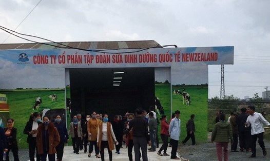Hàng trăm người già, cựu chiến binh đến tham quan “nhà máy” sữa New Zealand tại khối 2-phường Vinh Tân (TP. Vinh) theo lời mời "tour 0 đồng". Ảnh: QĐ