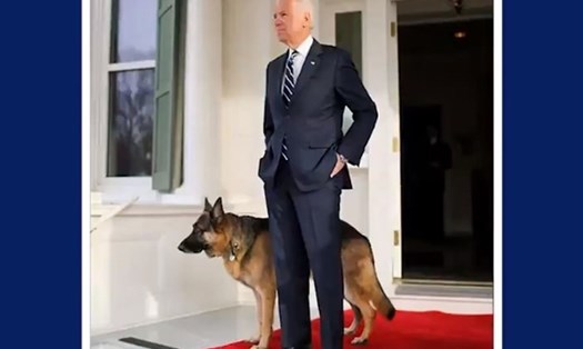Ông Joe Biden và chú chó cưng. Ảnh: Joe Biden Twitter.