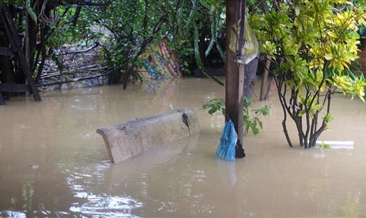 Một khu vườn ở người dân ở xã Vĩnh Thạnh, Nha Trang, Khánh Hòa ngập sâu trong nước. Ảnh: Nhiệt Băng