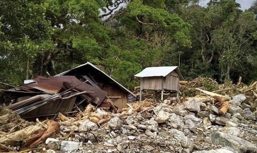 Hình ảnh tan hoang, gây mất rừng ở thôn 1 xã Phước Lộc, huyện Phước Sơn, Quảng Nam sau vụ sạt lở kinh hoàng. Ảnh: Y Nguyên