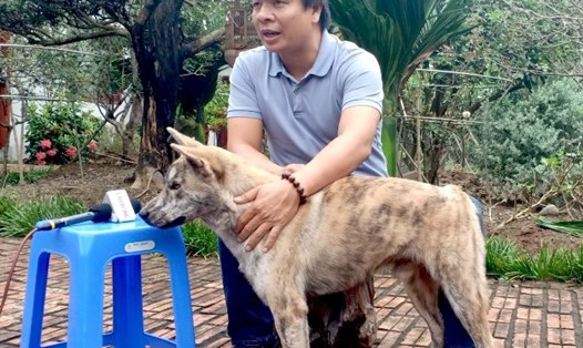 Anh Nguyễn Hồng Phong (Tây Hồ, Hà Nội) giới thiệu về giống chó Cộc quý hiếm của Việt Nam. Ảnh: Lâm Thế
