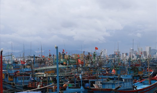 Gần 1.000 tàu cá về Cảng Hòn Rớ tránh trú bão 12. Ảnh: Phương Linh