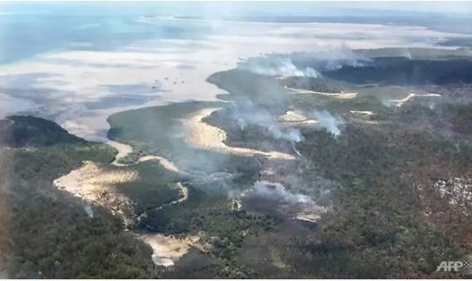 Các cơn bão mang theo mưa lớn đã cứu nguy cho các khu rừng đang bị cháy trên đảo Fraser của Australia. Ảnh: AFP