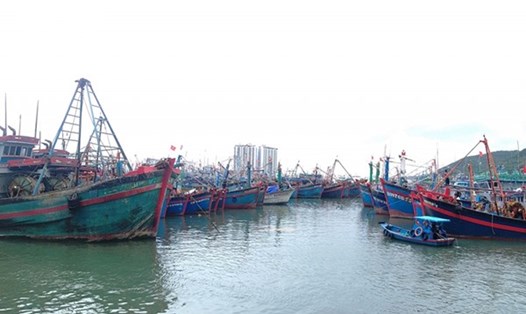 Các hành vi tổ chức, môi giới đưa tàu cá, ngư dân ra nước ngoài khai thác hải sản bất hợp pháp sẽ bị xử lý nghiêm. Ảnh: TCTS