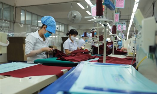 Dịp cuối năm, các doanh nghiệp dệt may tổ chức nhiều đợt tuyển dụng lao động phục vụ các đơn hàng lớn. Ảnh: Hữu Long