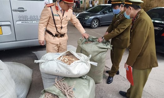 Lực lượng chức năng kiểm tra số nguyên liệu thuốc bắc nhập lậu. Ảnh: Quản lý thị trường Lạng Sơn cung cấp.