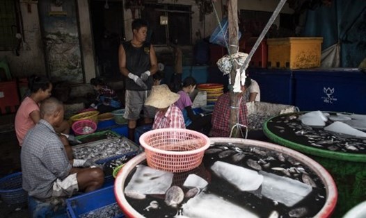 Một chợ hải sản ở tỉnh Samut Sakhon của Thái Lan. Ảnh minh họa. Ảnh: AFP.