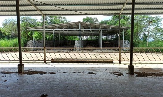 Dự án chăn nuôi bò công nghệ cao của Công ty CP Tập đoàn Đức Long Gia Lai với 2 chuồng trại có quy mô rộng hàng nghìn mét vuông đã bị “tê liệt” hoàn toàn. 
Ảnh: bảo lâm