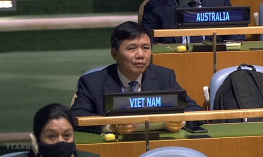 Đại sứ Đặng Đình Quý - Trưởng phái đoàn đại diện thường trực Việt Nam tại Liên Hợp Quốc. Ảnh: TTXVN