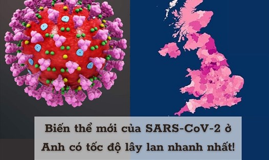 Biến thể của SARS-CoV-2 ở Anh đang gây hoang mang. Ảnh đồ họa: Phạm Công