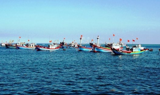 Luật Thủy sản góp phần chuyển hướng từ nghề cá nhân dân sang nghề cá có trách nhiệm. Ảnh: TCTS