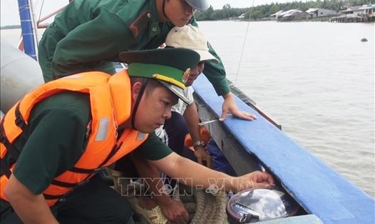 Việt Nam đang nỗ lực Thực thi Luật Thủy sản và các khuyến nghị của EC để gỡ thẻ vàng IUU. Ảnh: TTXVN