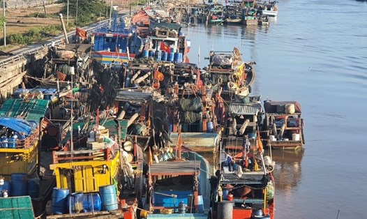 Một số tàu đánh bắt thủy sản đã vào cửa biển Nhà Mát, Thành phố Bạc Liêu trú tránh bão số 14 (ảnh Nhật Hồ)