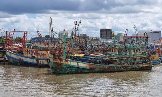 Một số phương tiện đánh bắt thủy sản đã vào cửa biển Sông Đốc, huyện Trần Văn Thời, tỉnh Cà Mau trú bão số 14 (ảnh Nhật Hồ)