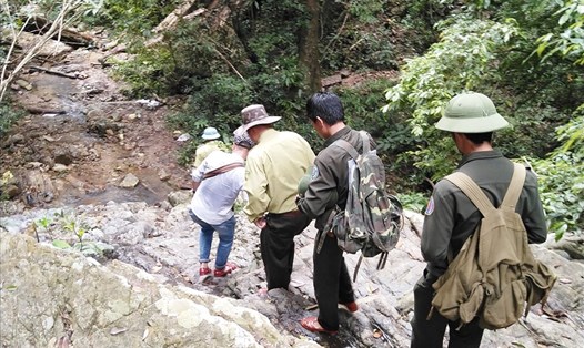 UBND tỉnh Gia Lai yêu cầu các đơn vị tăng cường công tác quản lý, bảo rừng trên địa bàn. Ảnh: T.Tuấn