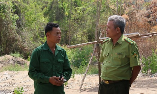 Lãnh đạo Chi cục Kiểm lâm tỉnh Đắk Lắk đến kiểm tra một lán trại canh gác của Ban quản lý Khu bảo tồn thiên nhiên Ea Sô. Ảnh: Bảo Trung